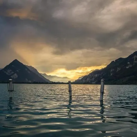Eiche, Interlaken Ost * Matten bei Interlaken